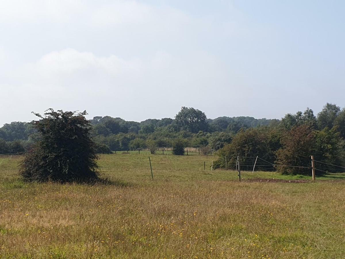Open Acres Accommodation And Airport Parking Backwell Exterior foto